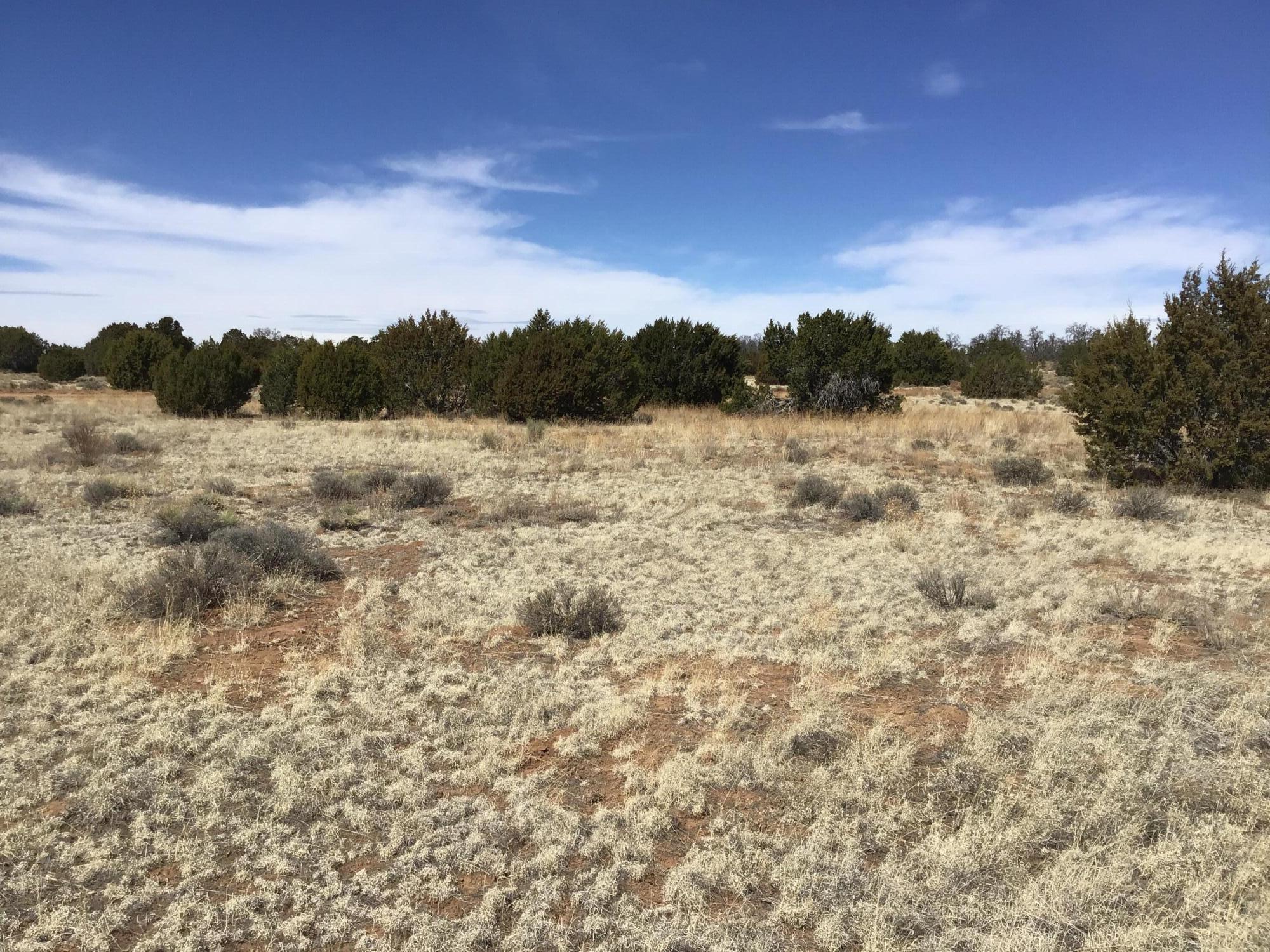 Lot 16 Country Lane, Ramah, New Mexico image 1
