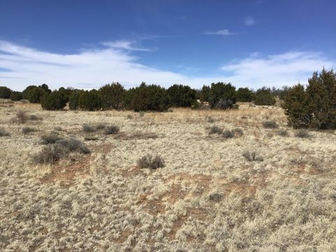 Vacant Land For Sale - LOT 16 Country Lane<br/> Ramah, NM 87321