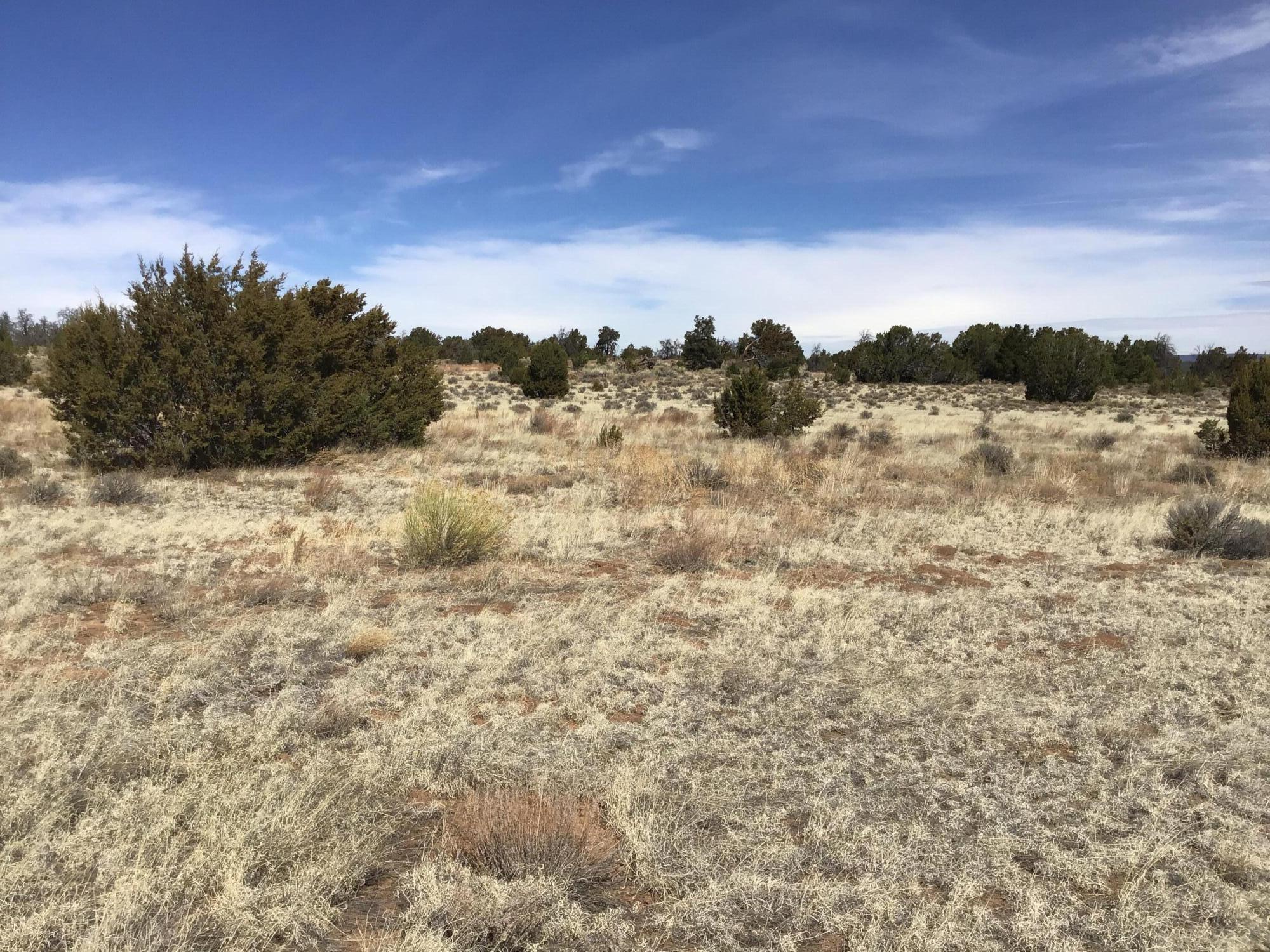 Lot 16 Country Lane, Ramah, New Mexico image 3