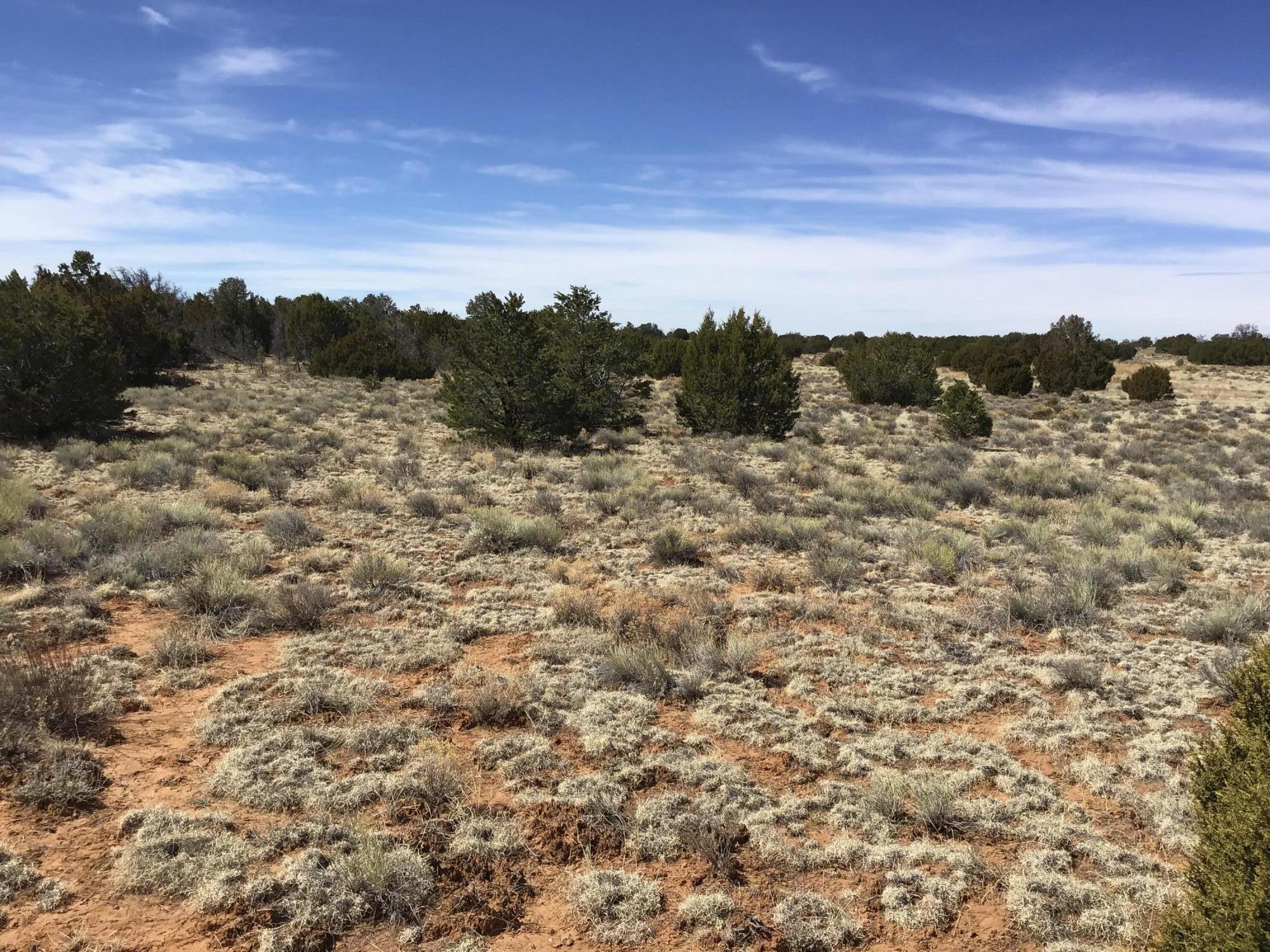 Lot 16 Country Lane, Ramah, New Mexico image 11