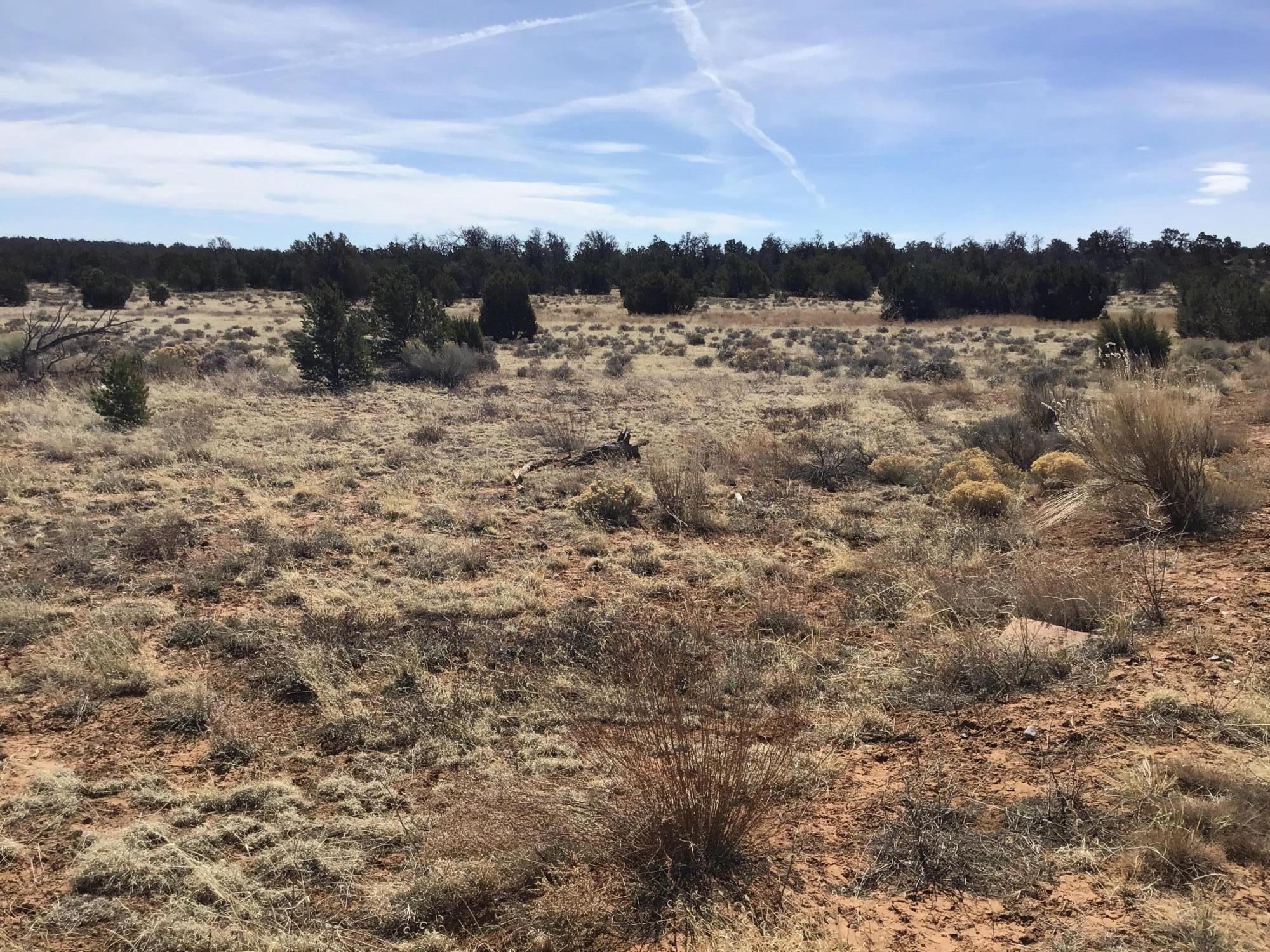 Lot 16 Country Lane, Ramah, New Mexico image 16