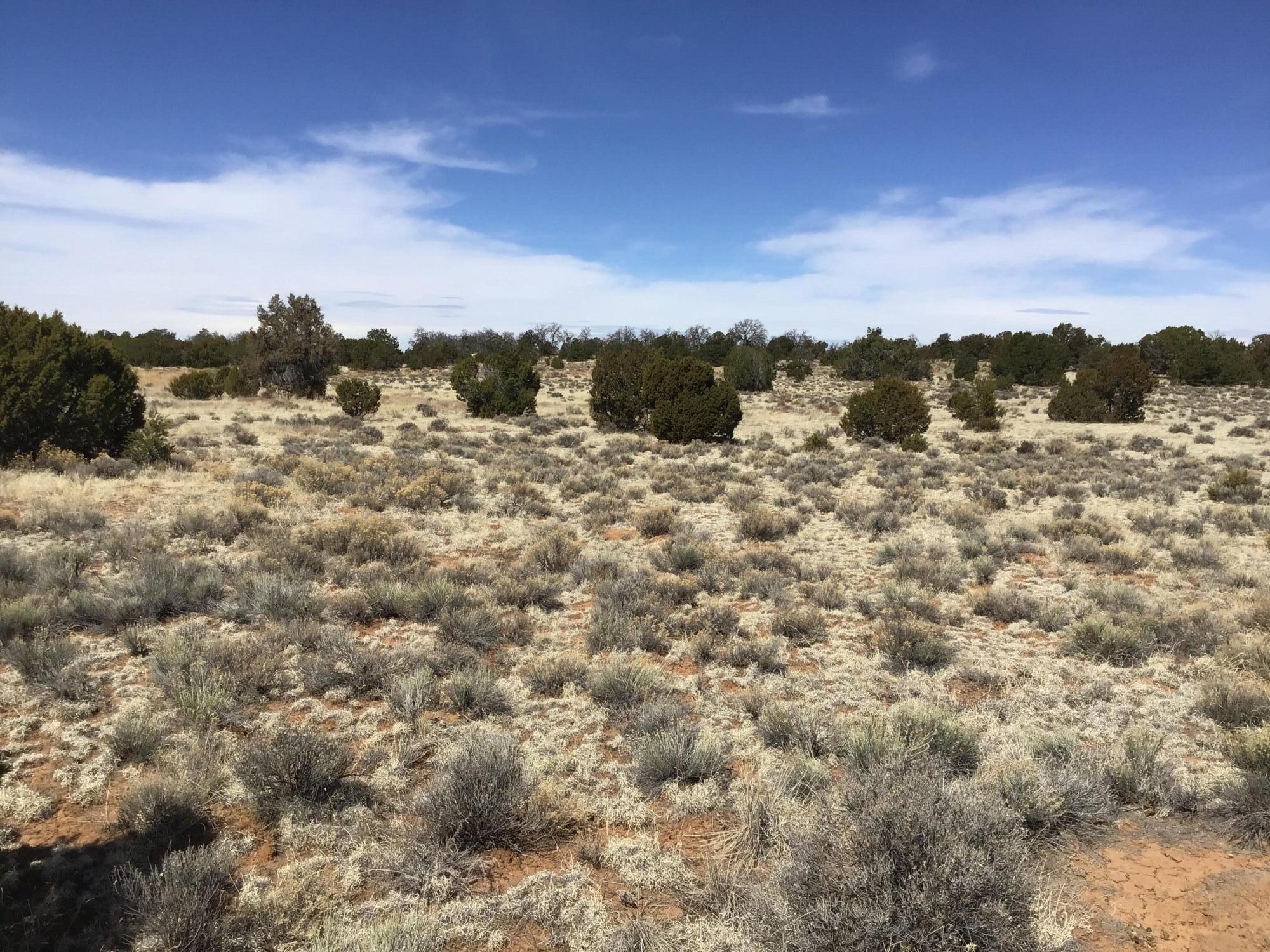 Lot 16 Country Lane, Ramah, New Mexico image 4