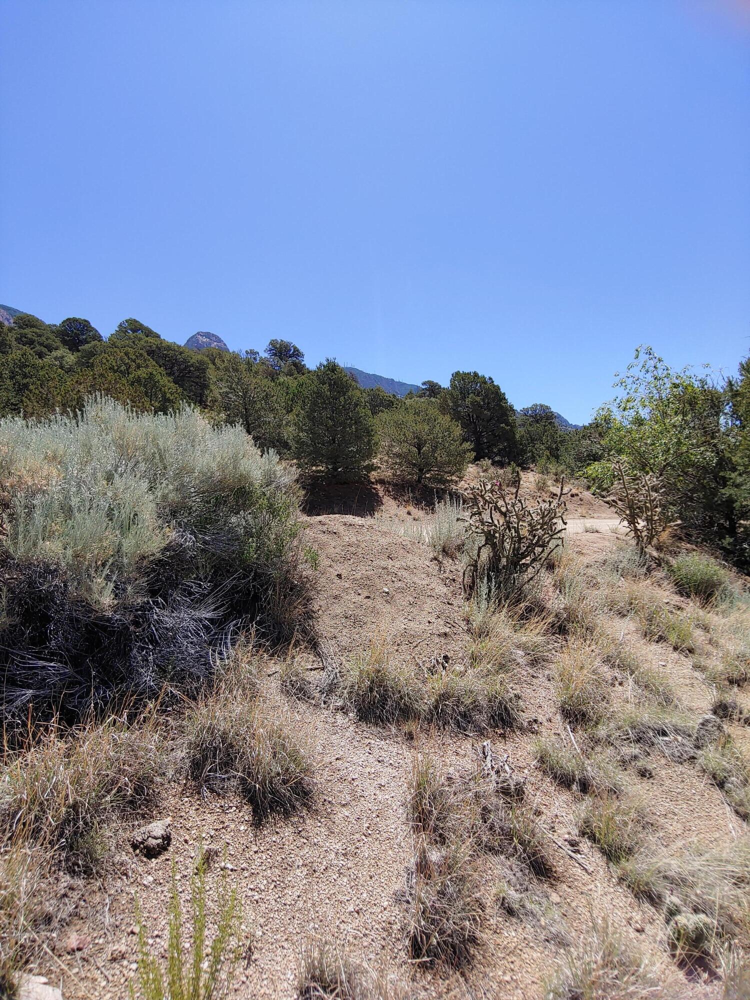 Evergreen Hills 3 Lot 1 NE