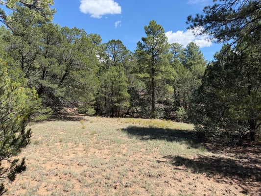 137 RAVEN RD, TIJERAS, NM 87059 - Image 0bf5fa21540b3e1f62de587368ecc9a8/1239728012