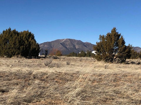 Vacant Land For Sale - 23 Joe Mae Road<br/> Santa Fe County, Edgewood, NM 87015