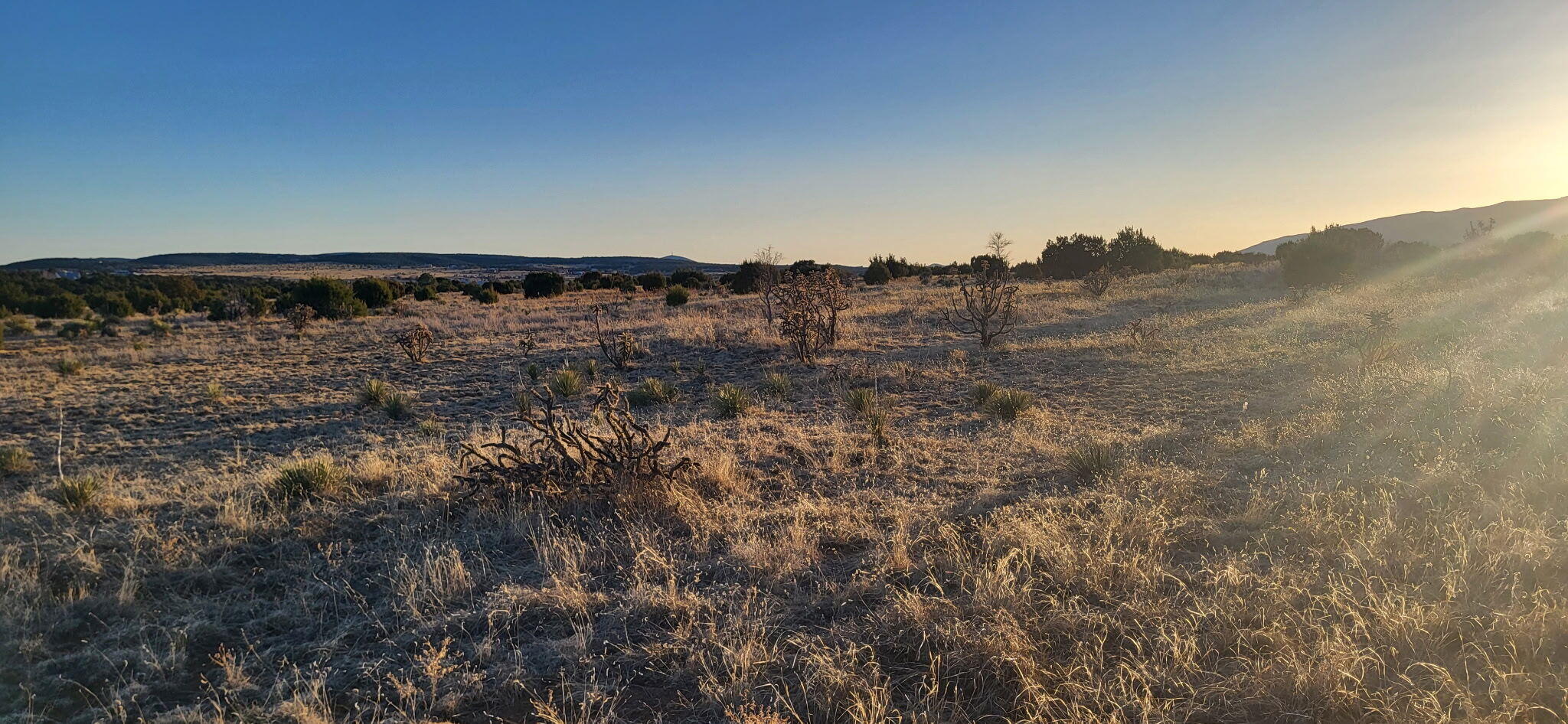 212 Entranosa Road, Edgewood, New Mexico image 8