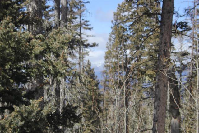 Lot 19 Happy Way, Angel Fire, New Mexico image 4
