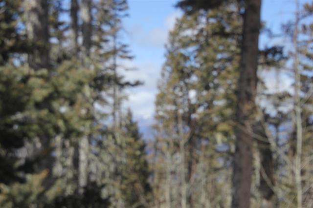 Lot 19 Happy Way, Angel Fire, New Mexico image 6