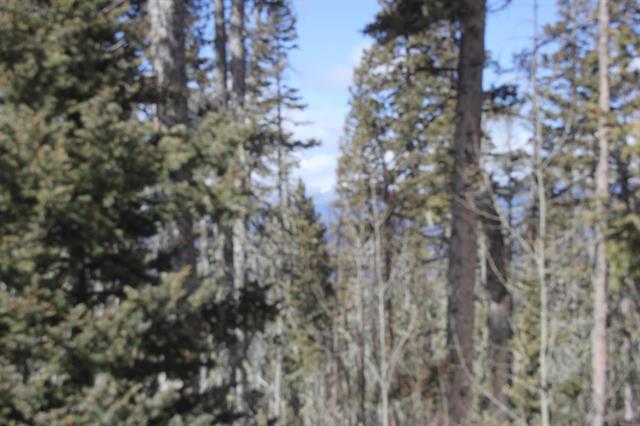 Lot 19 Happy Way, Angel Fire, New Mexico image 5