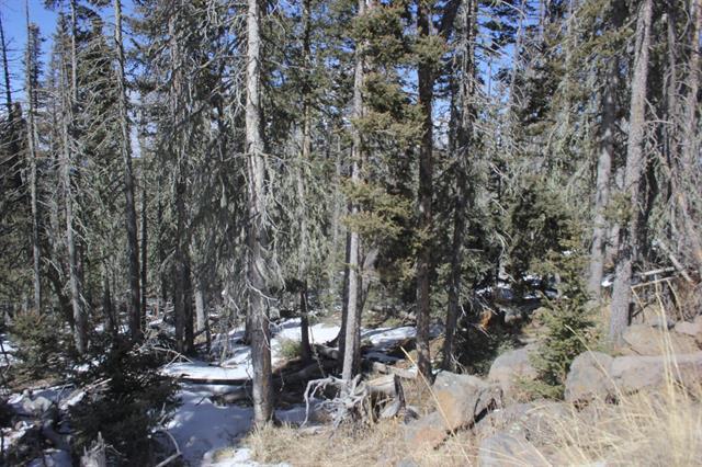 Lot 19 Happy Way, Angel Fire, New Mexico image 10