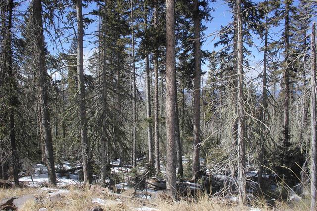 Lot 19 Happy Way, Angel Fire, New Mexico image 1