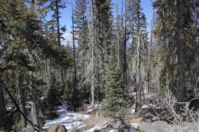 Lot 19 Happy Way, Angel Fire, New Mexico image 8
