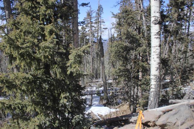 Lot 19 Happy Way, Angel Fire, New Mexico image 7