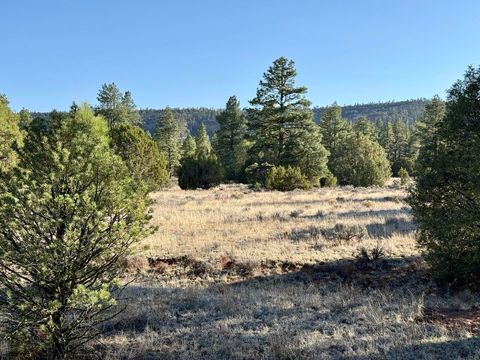 Vacant Land For Sale - LOT 21 Cottonwood Lane<br/> Ramah, NM 87321