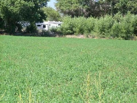 Vacant Land For Sale - 2107 Don Pasqual Road<br/> Los Lunas, NM 87031