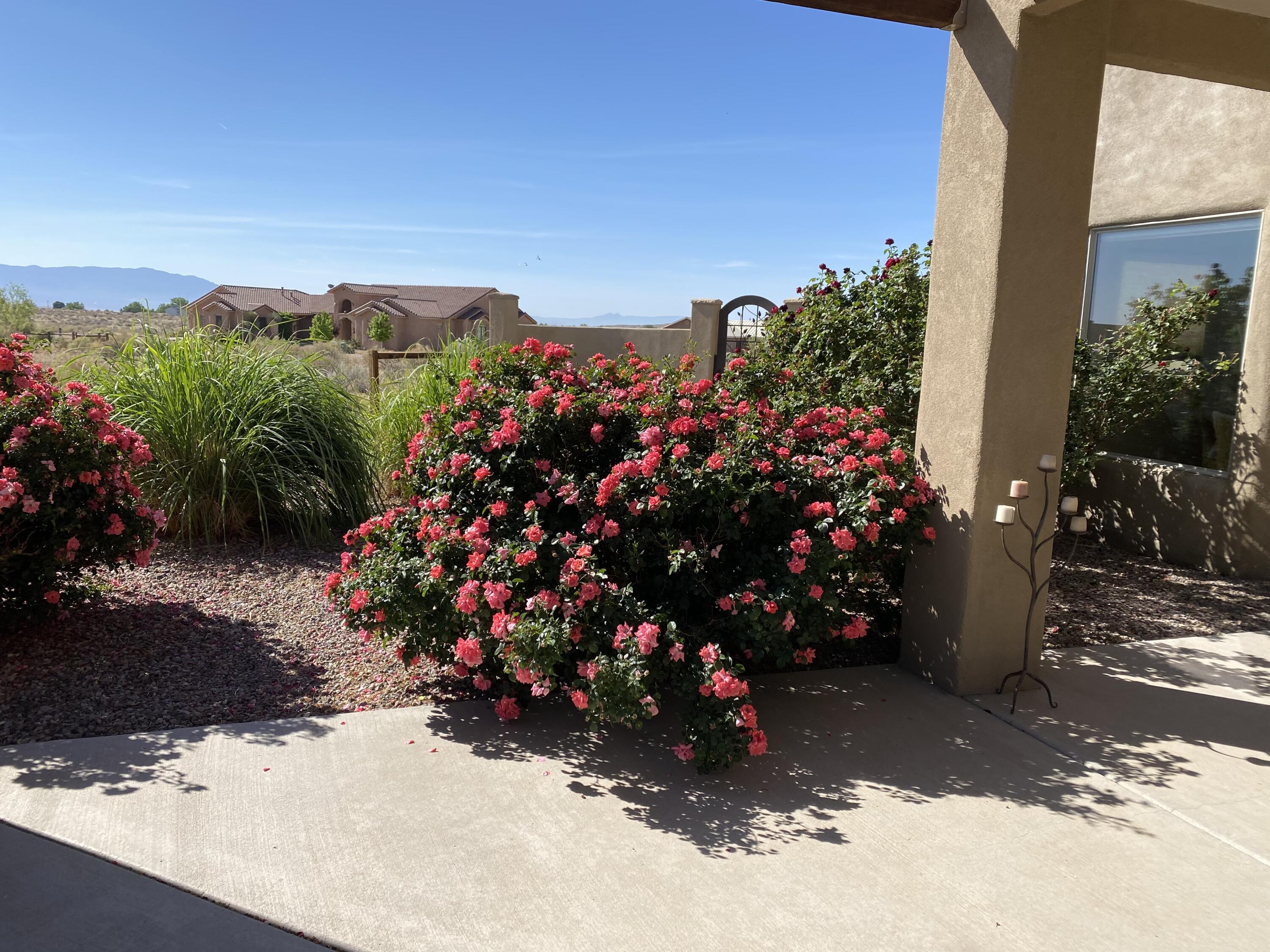 761 Marble Sky Avenue, Rio Rancho, New Mexico image 33