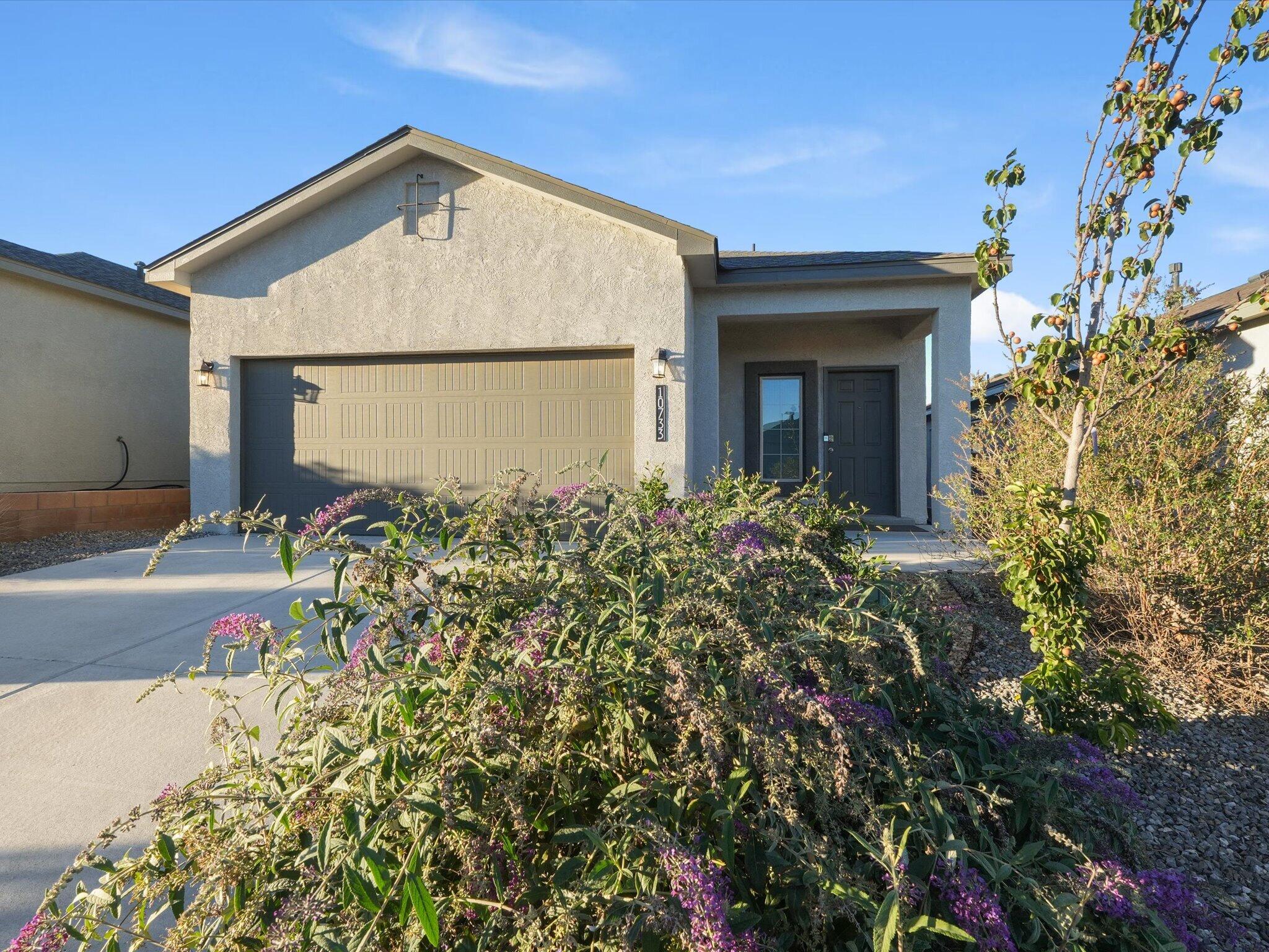 10733 Sabino Loop SW