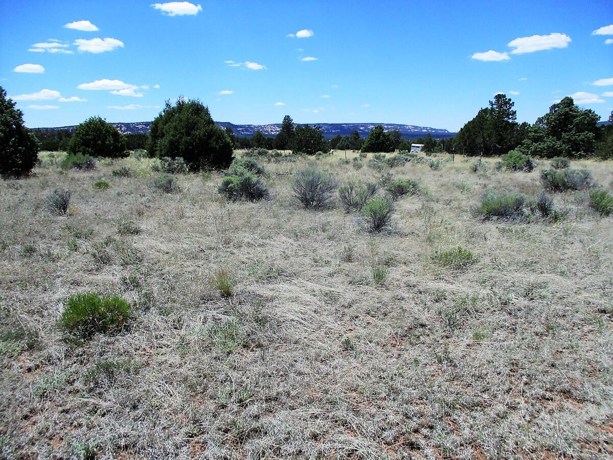 Lot 8 Sunrise Way, Ramah, New Mexico image 30