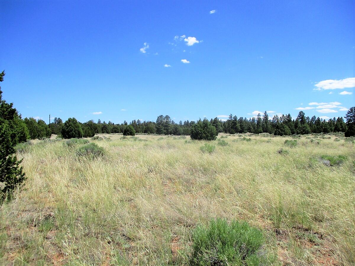 Lot 8 Sunrise Way, Ramah, New Mexico image 37