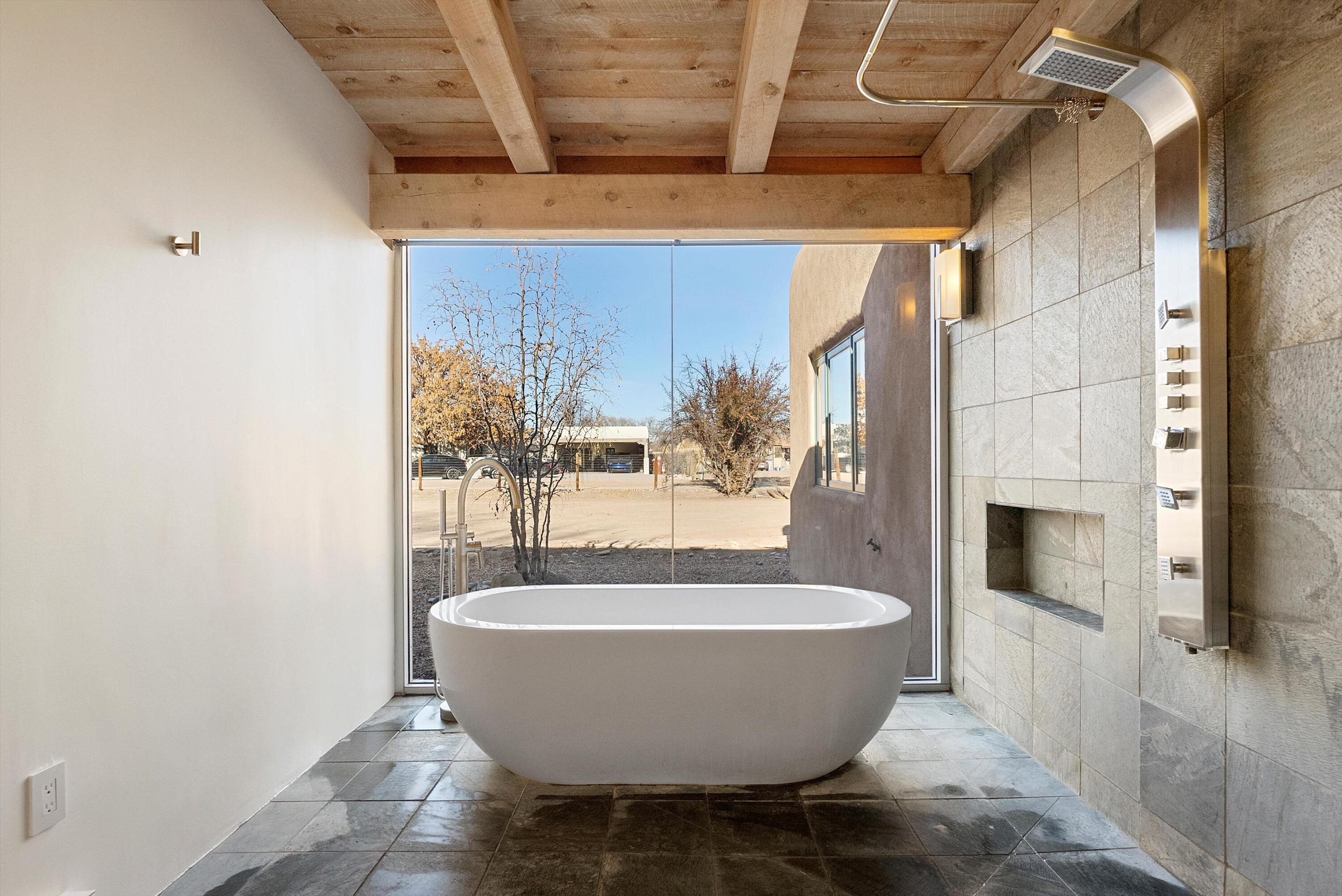 4659 Corrales Road, Corrales, New Mexico image 38