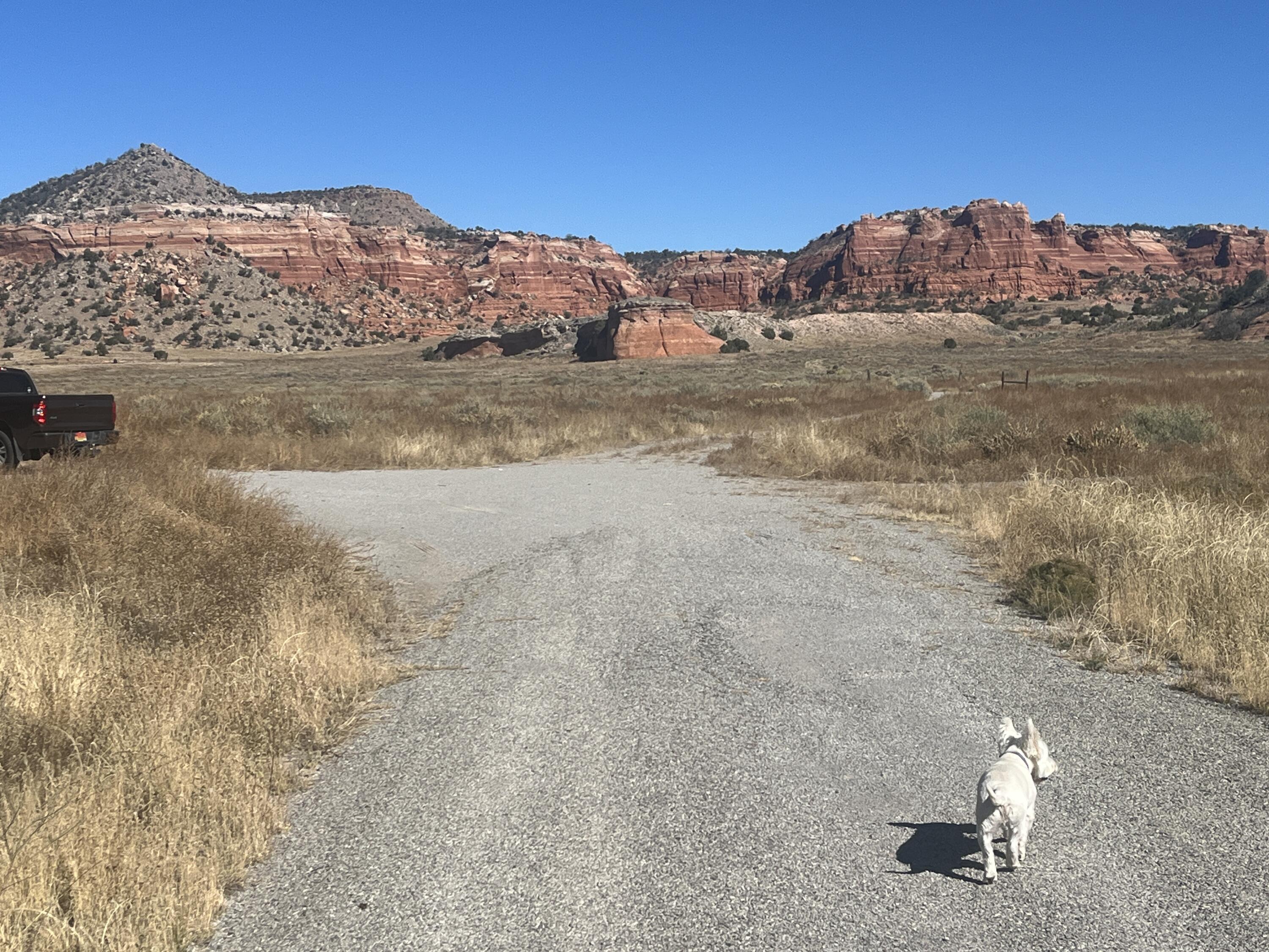 Lot 12 Red Canyon Ranches, Prewitt, New Mexico image 31