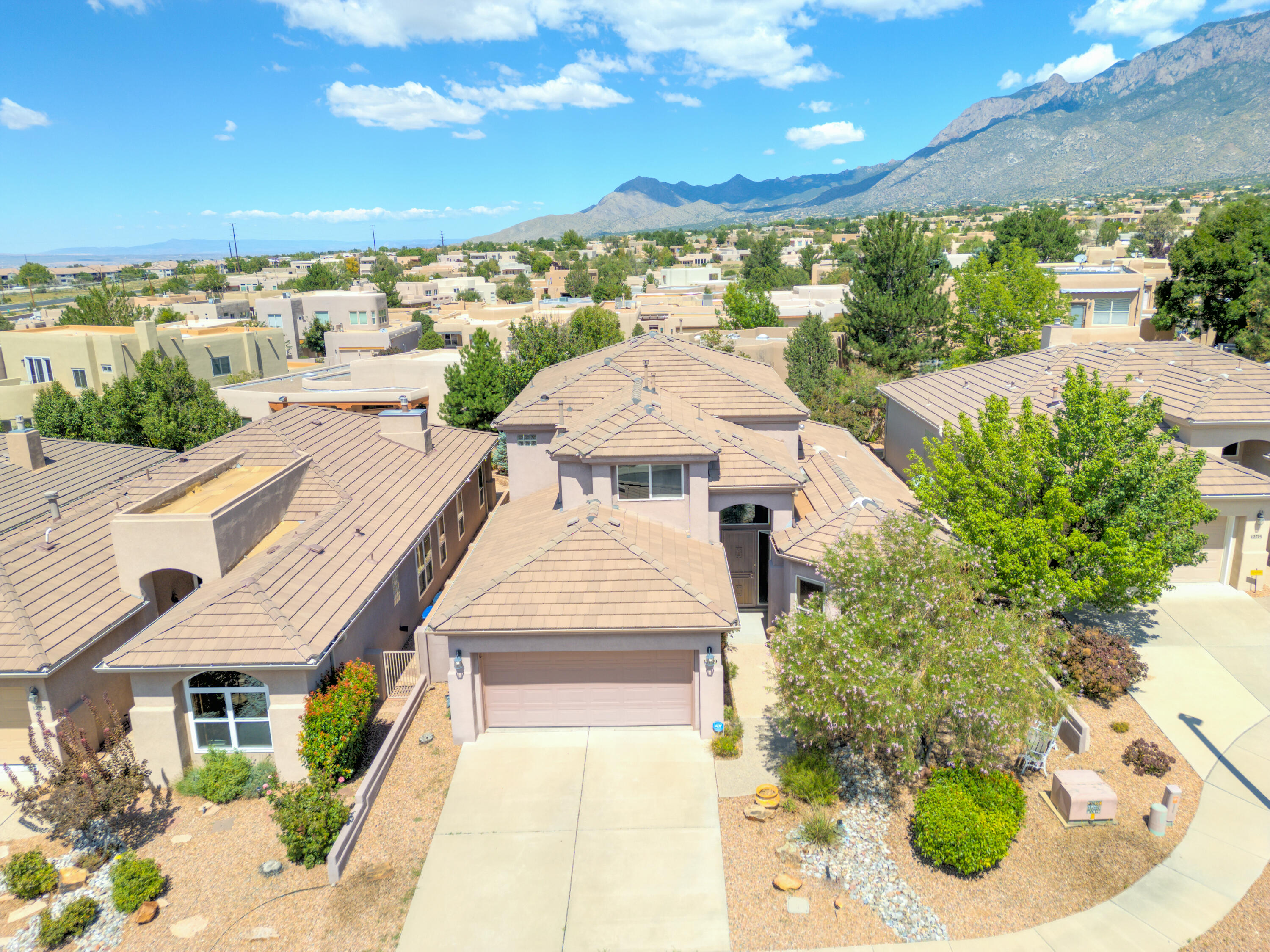 12709 Desert Marigold Lane, Albuquerque, New Mexico image 4