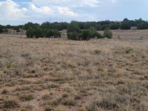 Vacant Land For Sale - 3332 Martinez Road<br/> Moriarty, NM 87035