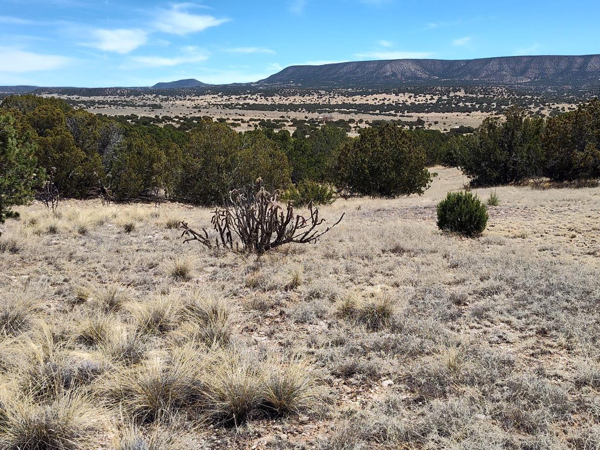 Highway 60, Mountainair, New Mexico image 1