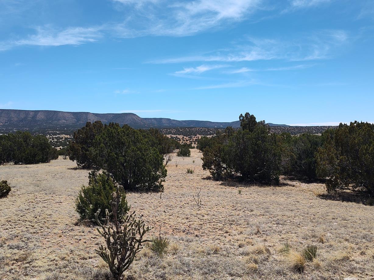 Highway 60, Mountainair, New Mexico image 5
