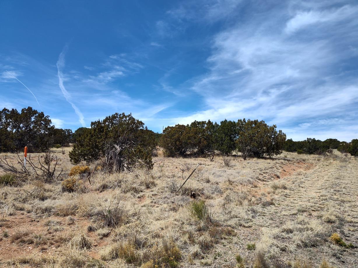 Highway 60, Mountainair, New Mexico image 12