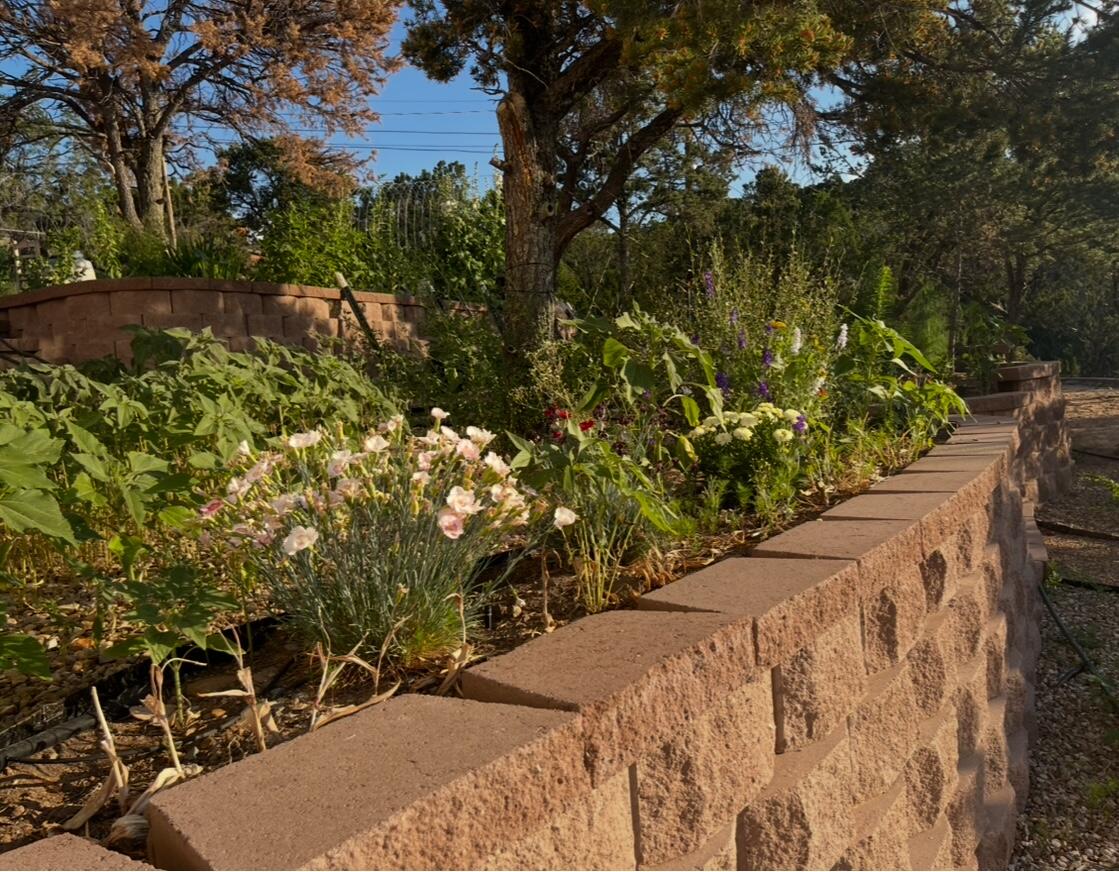 2 Snowcap Court, Cedar Crest, New Mexico image 44