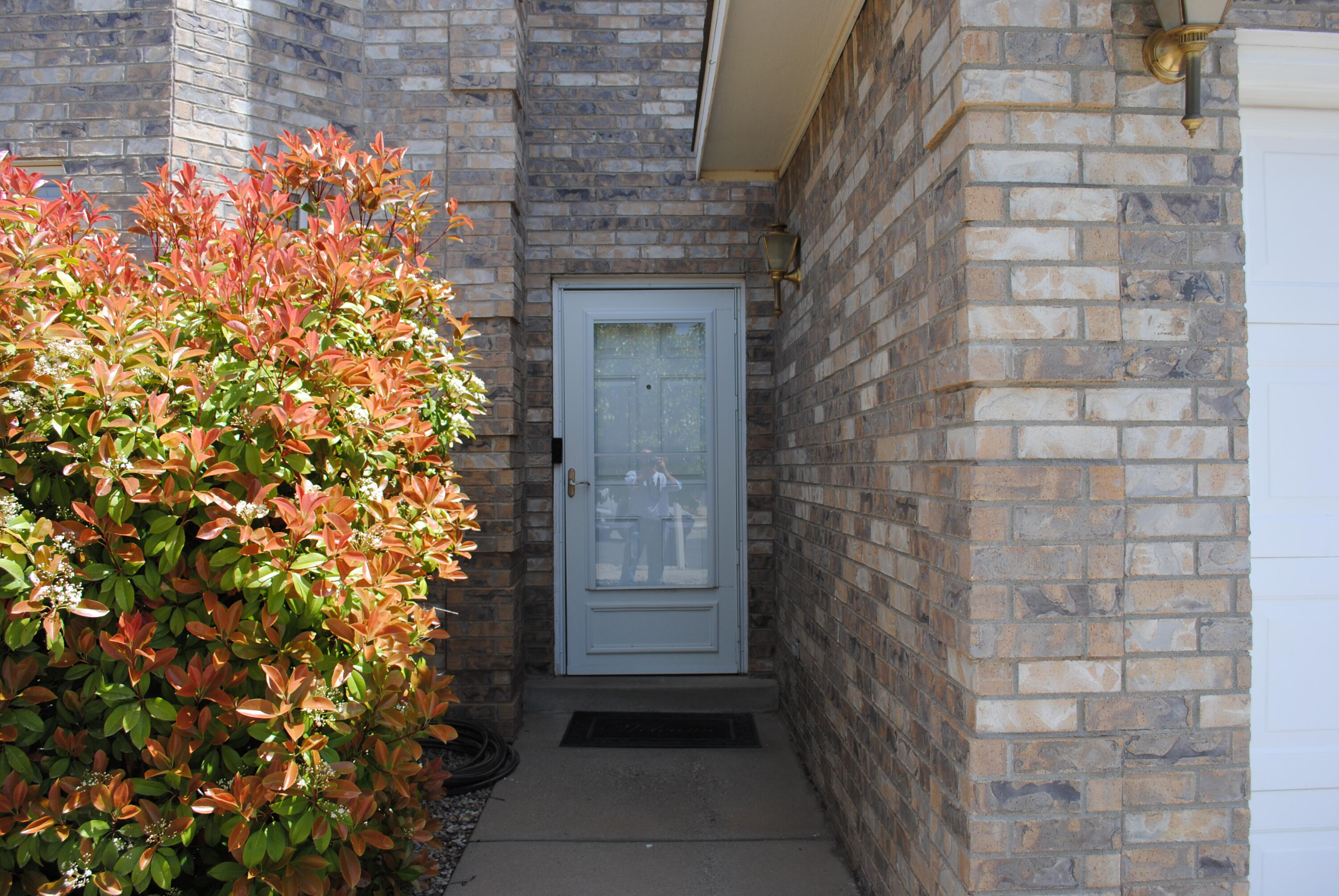 7400 Wadi Musa Drive, Albuquerque, New Mexico image 5