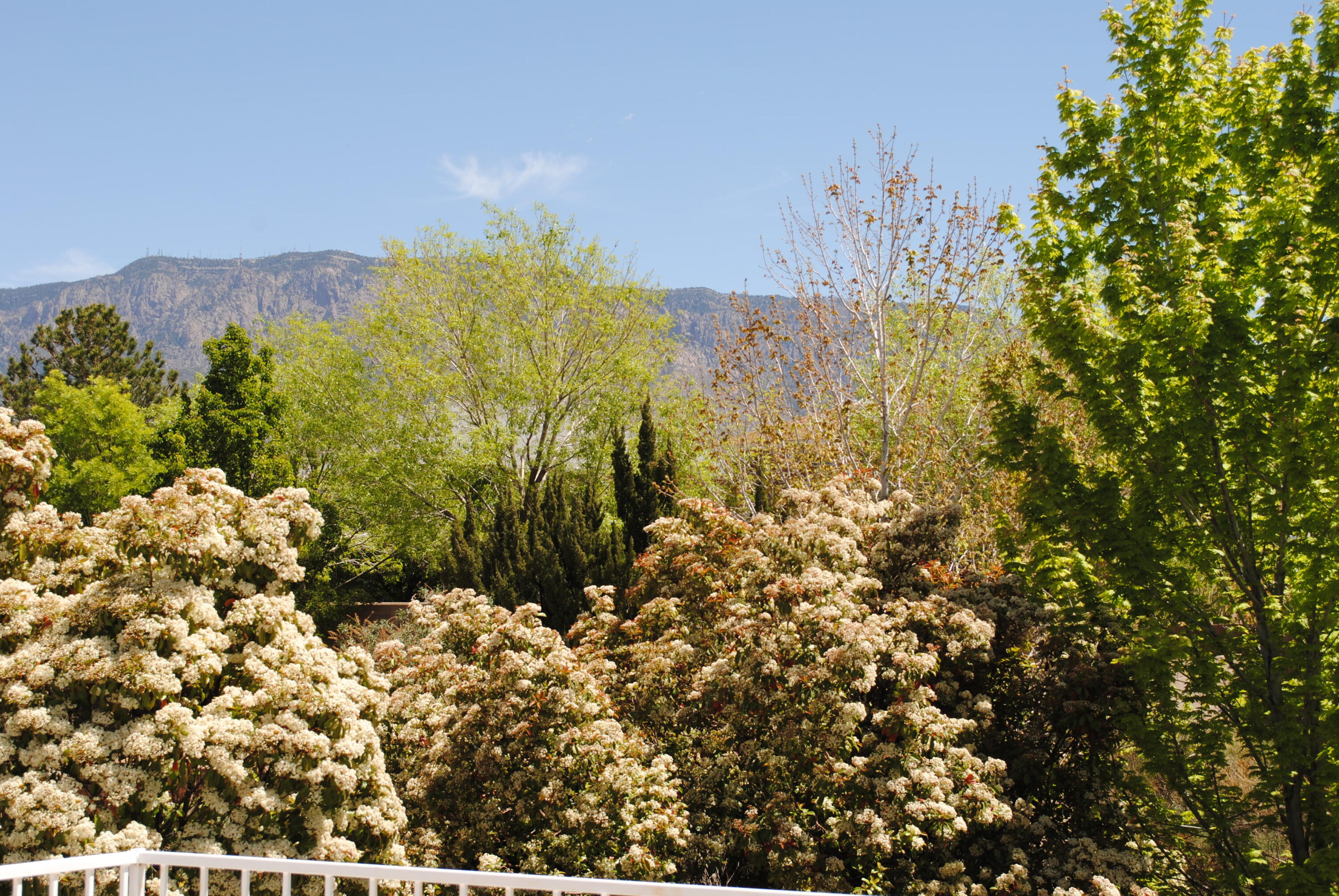 7400 Wadi Musa Drive, Albuquerque, New Mexico image 50