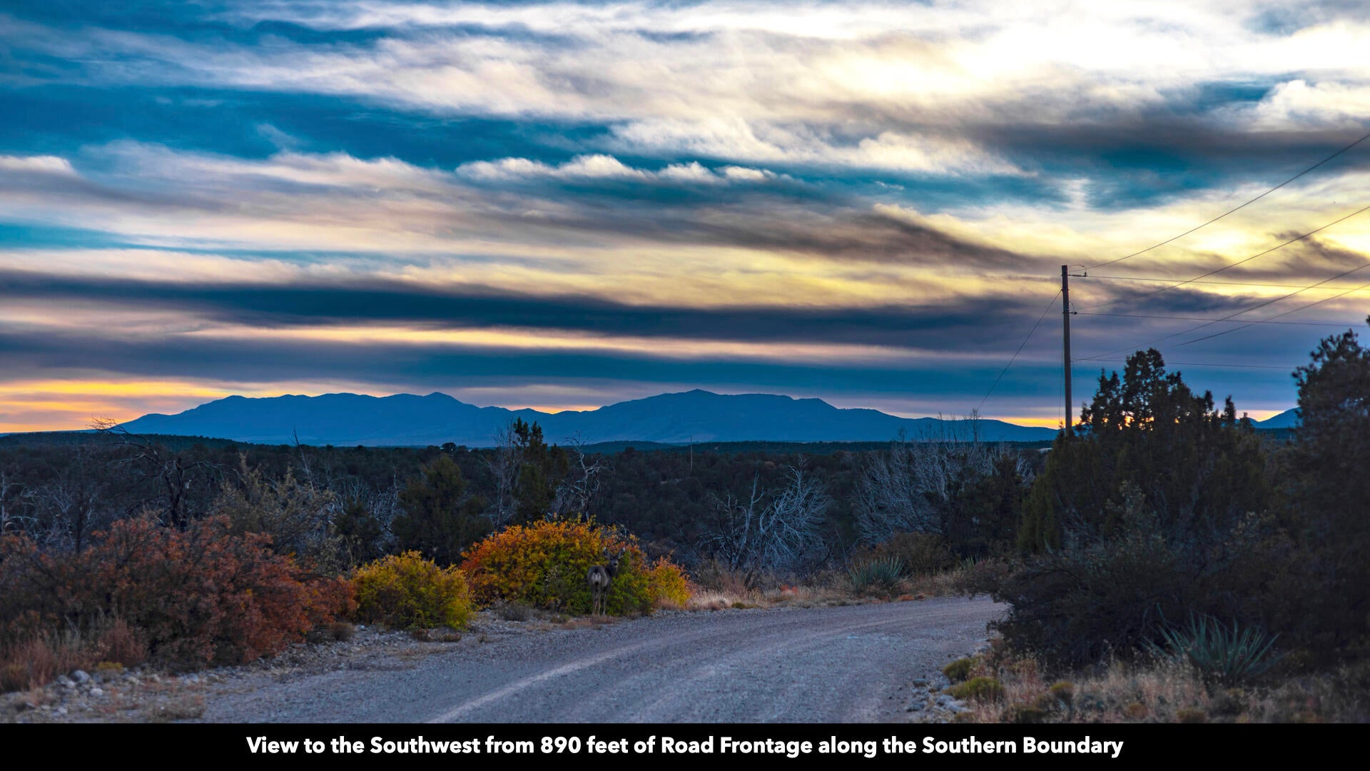 Twin Peaks Dr Drive