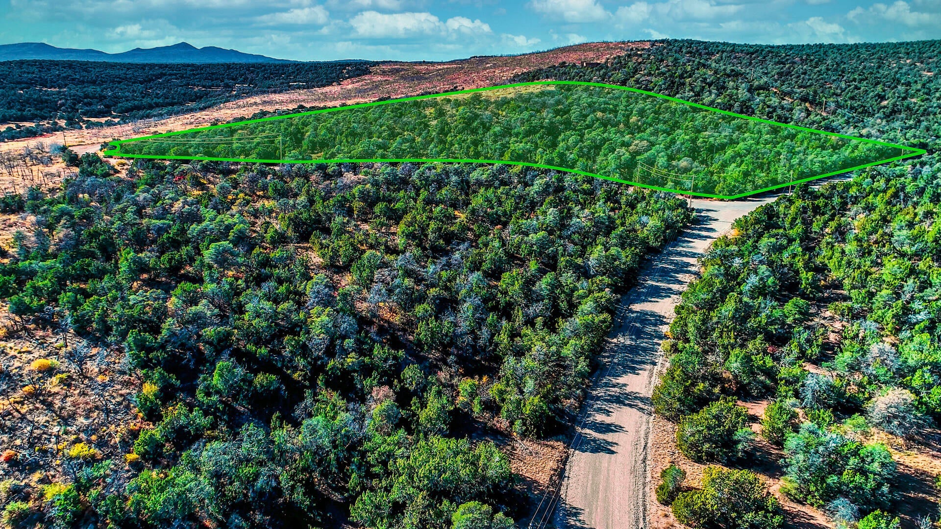 Twin Peaks Dr Drive