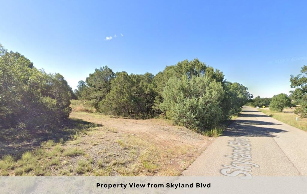 1 & 3 Skyland Boulevard, Tijeras, New Mexico image 18