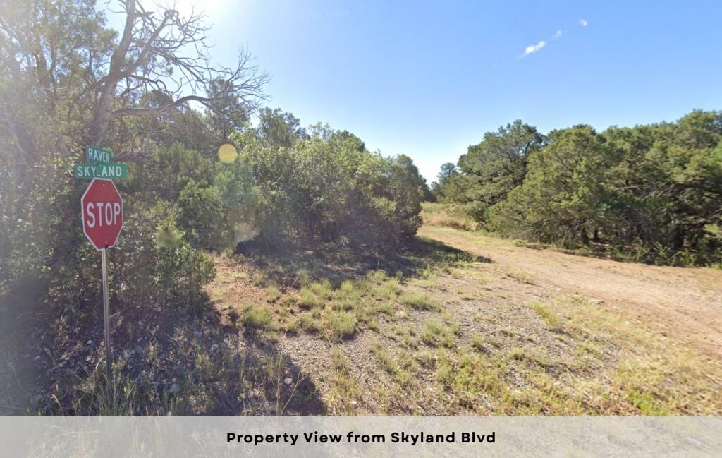 1 & 3 Skyland Boulevard, Tijeras, New Mexico image 17