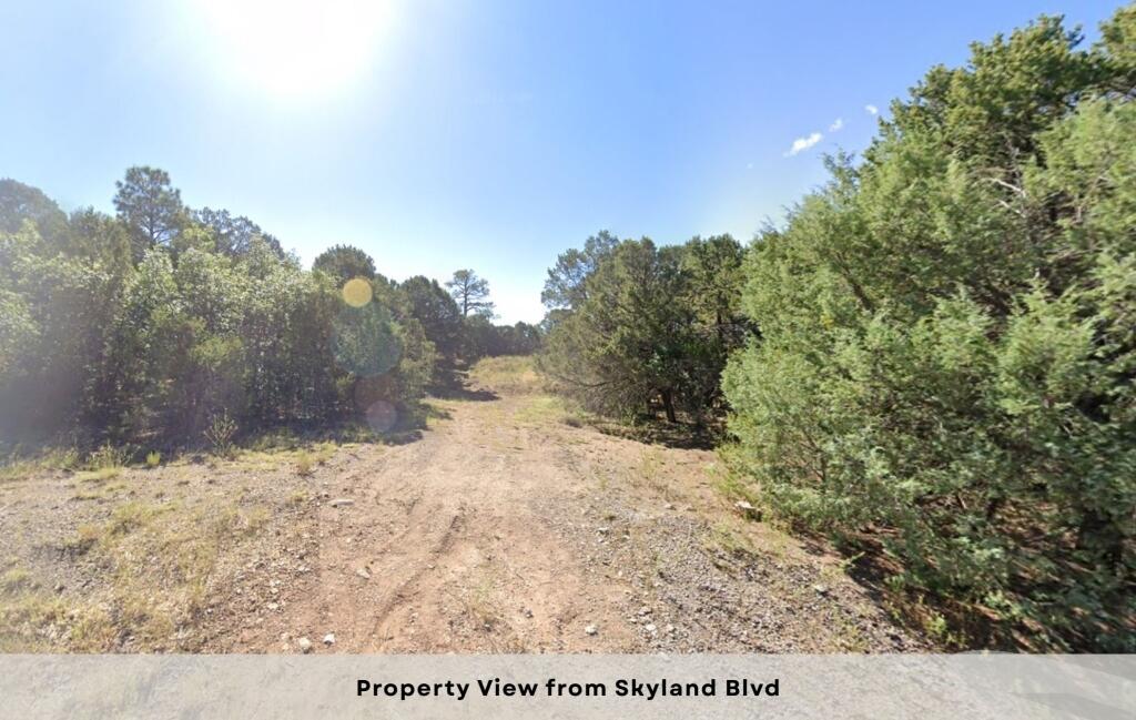 1 & 3 Skyland Boulevard, Tijeras, New Mexico image 19