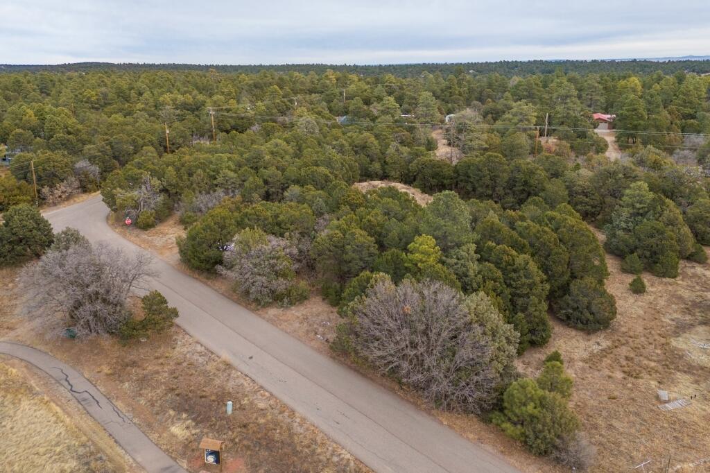 1 & 3 Skyland Boulevard, Tijeras, New Mexico image 21