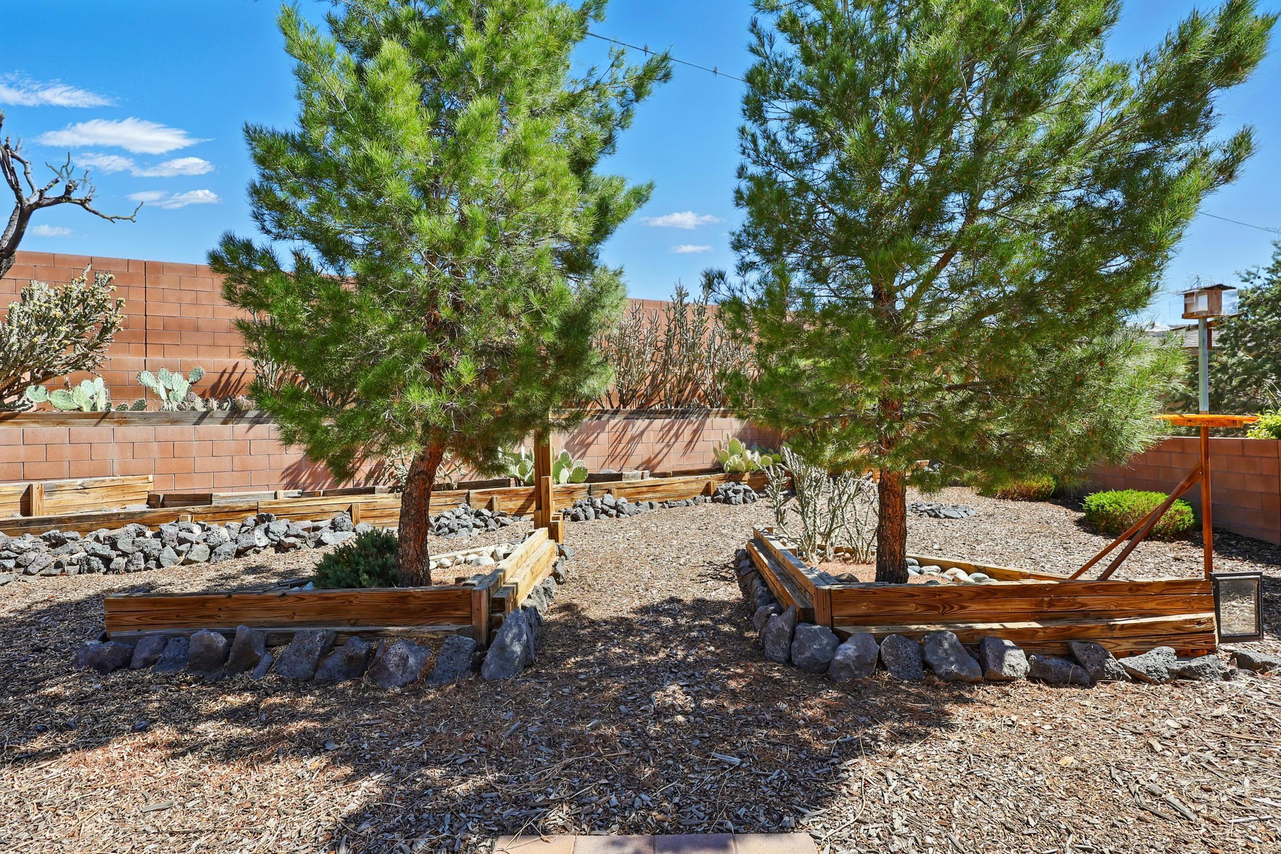 6427 Sincho Avenue, Albuquerque, New Mexico image 32