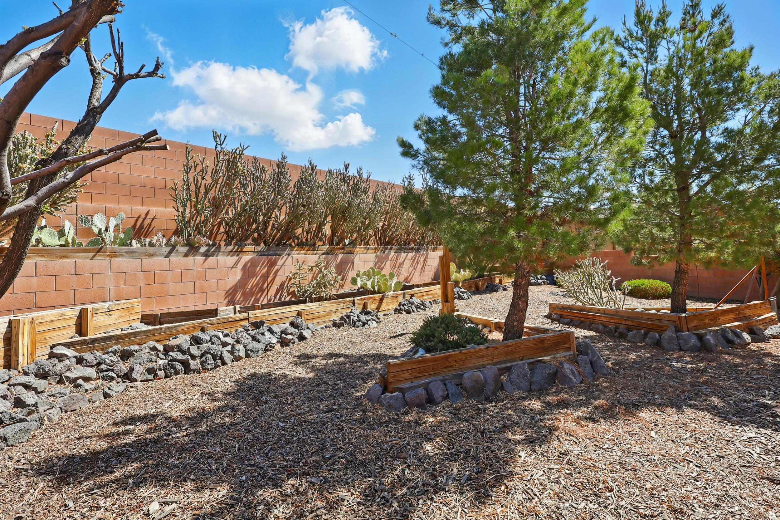 6427 Sincho Avenue, Albuquerque, New Mexico image 28