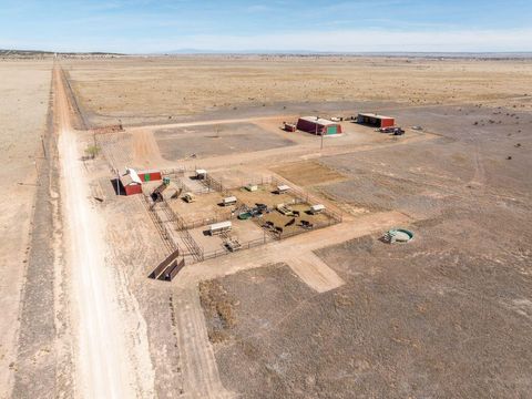 Vacant Land For Sale - 99 Pauline Road<br/> Torrance County, McIntosh, NM 87032