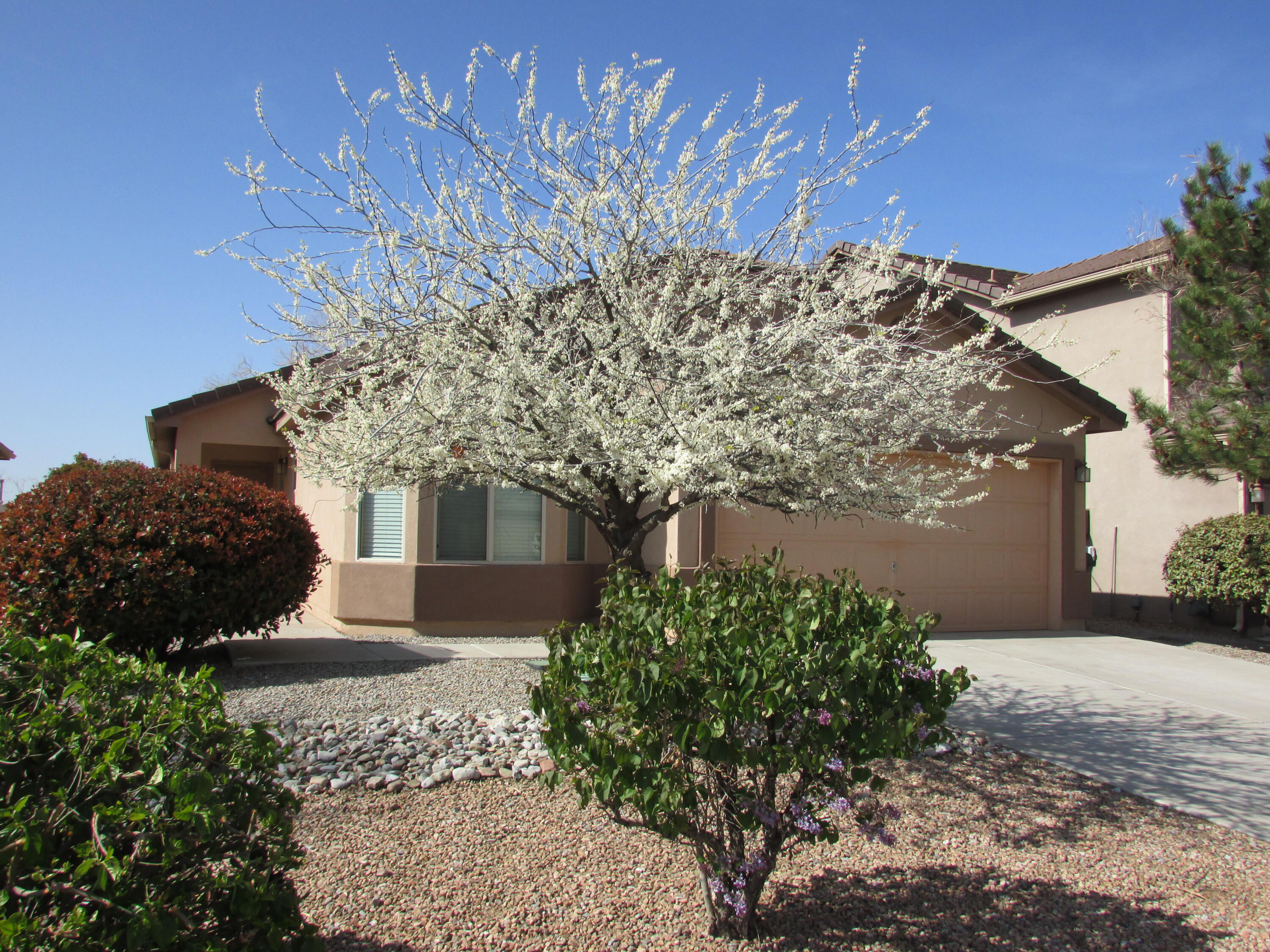 2843 Violeta Circle, Rio Rancho, New Mexico image 1