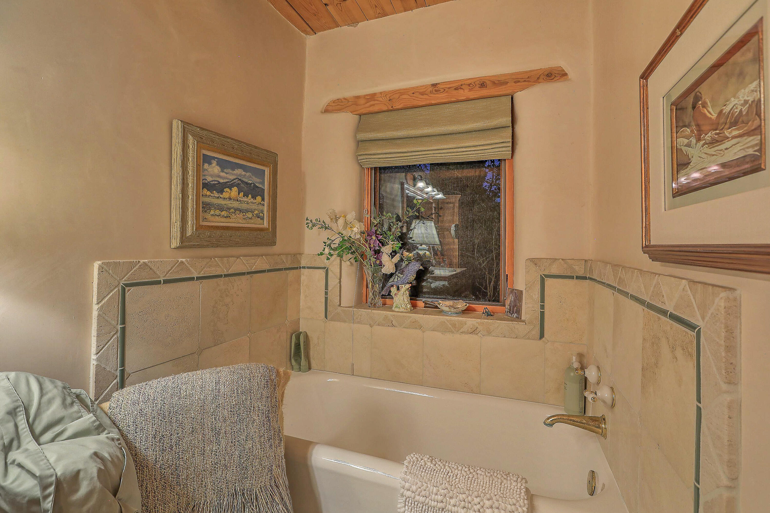 253 Spring Creek Place, Albuquerque, New Mexico image 48