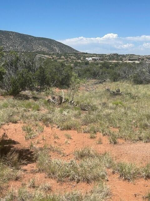 250 Moonlight Ridge Road