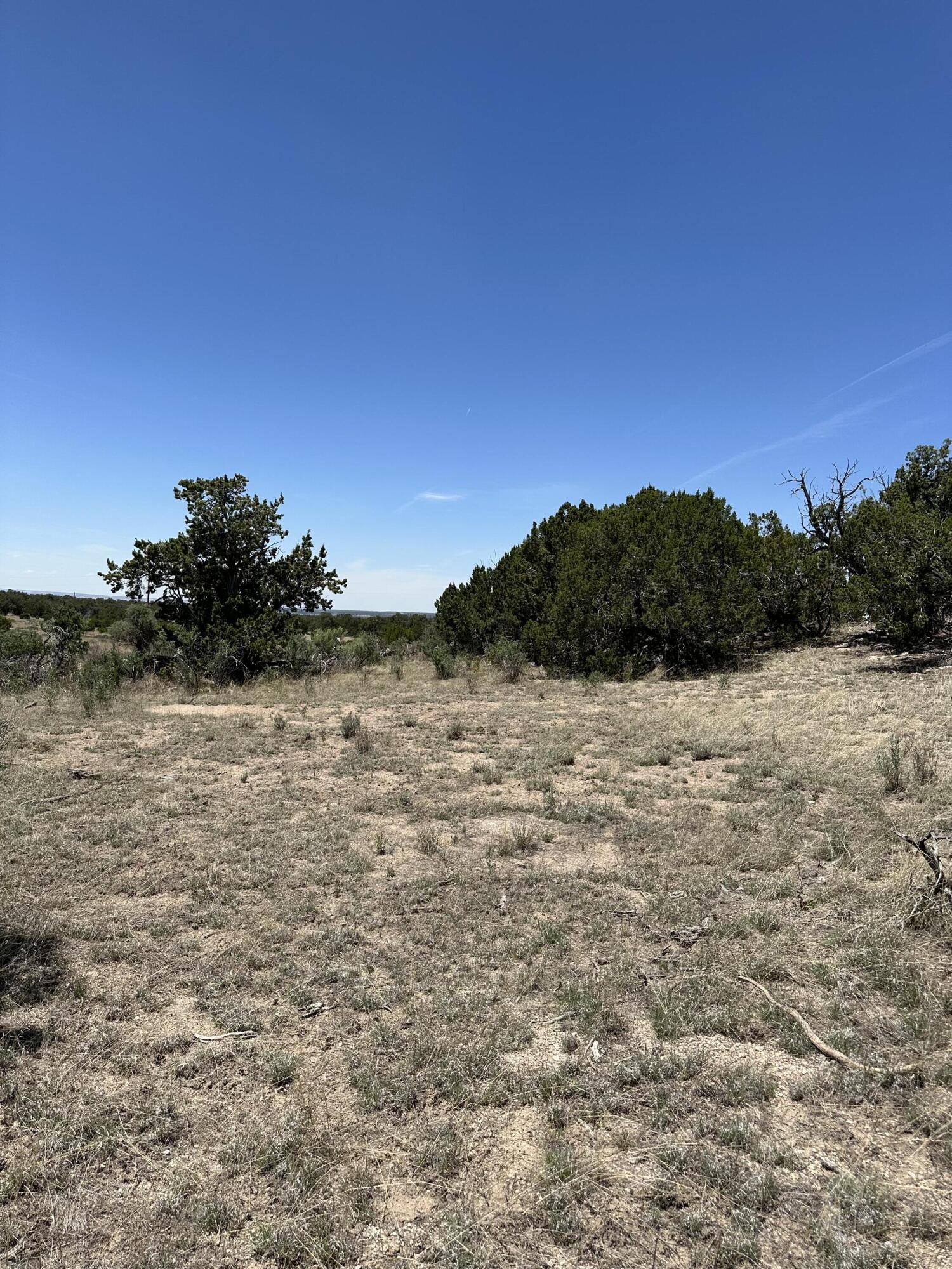 State Route 603, Pie Town, New Mexico image 4