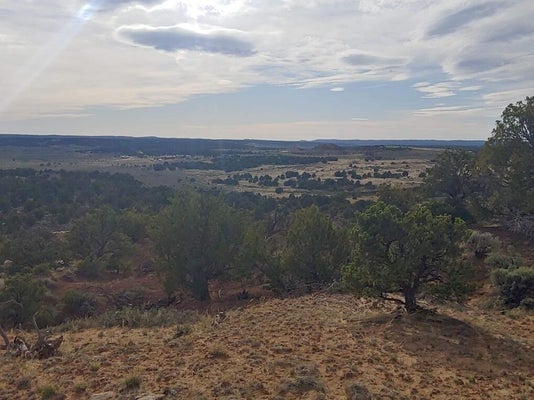ADDRESS PRIVATE, LINDRITH, NM 87029 - Image 0f871bfd067ca4e368f5463abd9b398c/1264192922