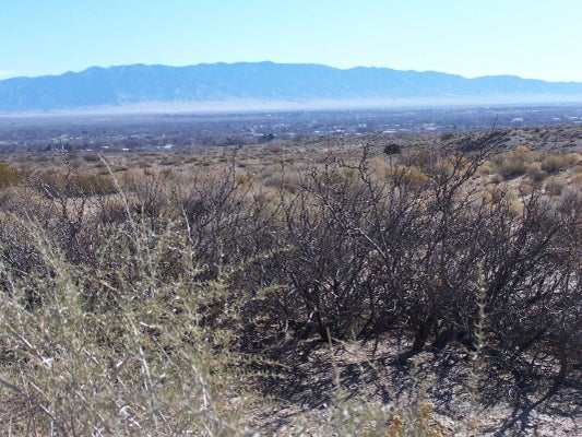 00 ERICA LANE, BELEN, NM 87002 - Image 0fa600493bee0ec1407cab4fa4fe970d/3226259658