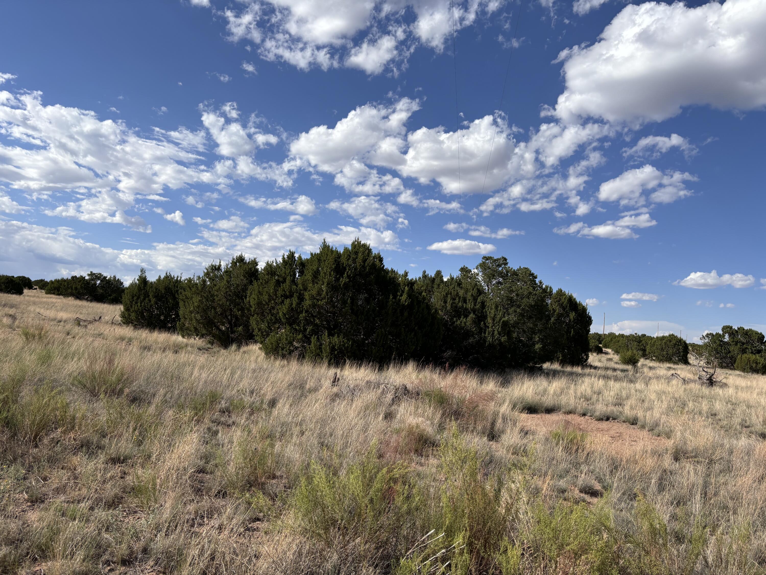 43 Pinon Springs Ranches, Magdalena, New Mexico image 5