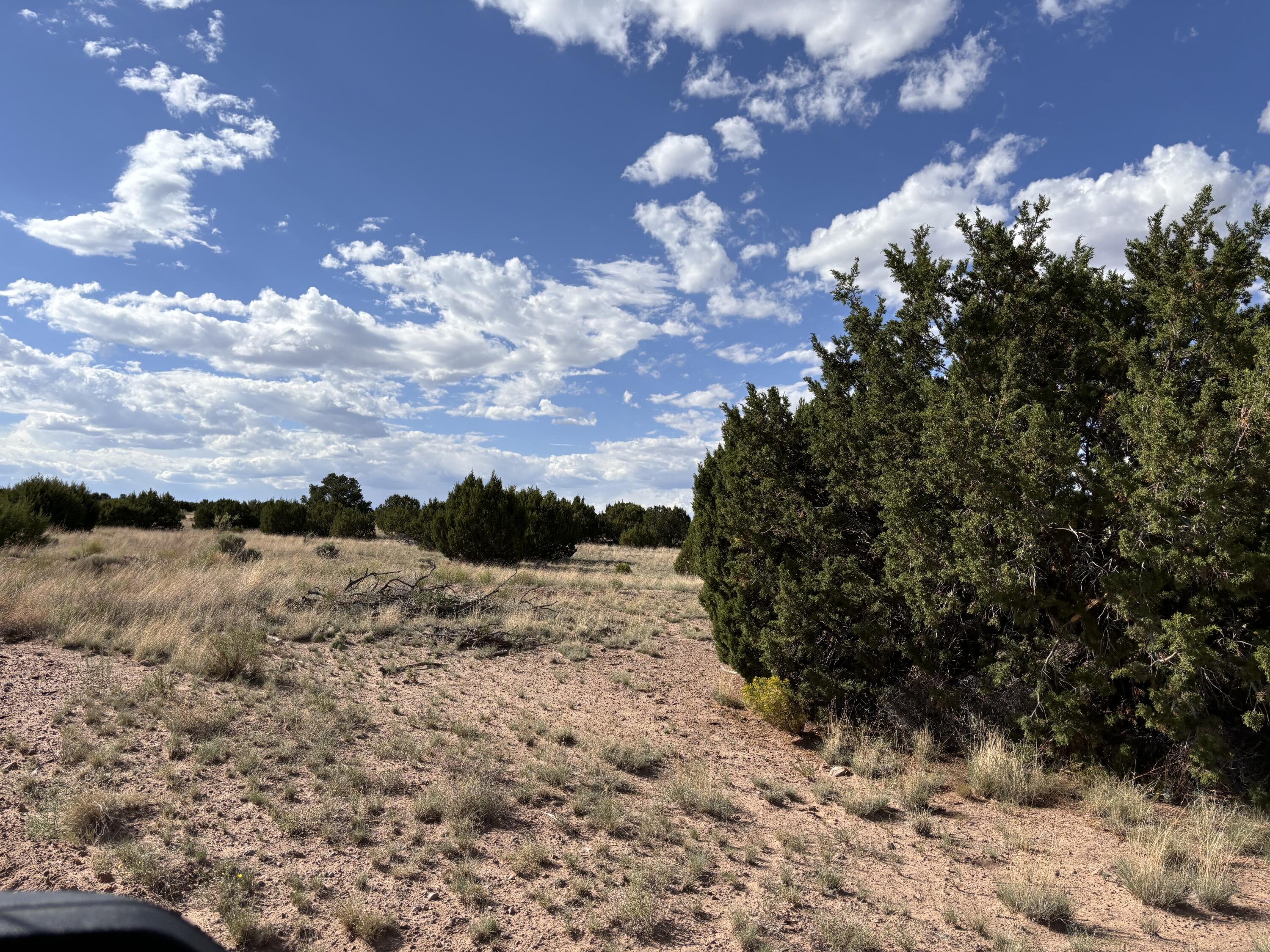 43 Pinon Springs Ranches, Magdalena, New Mexico image 7